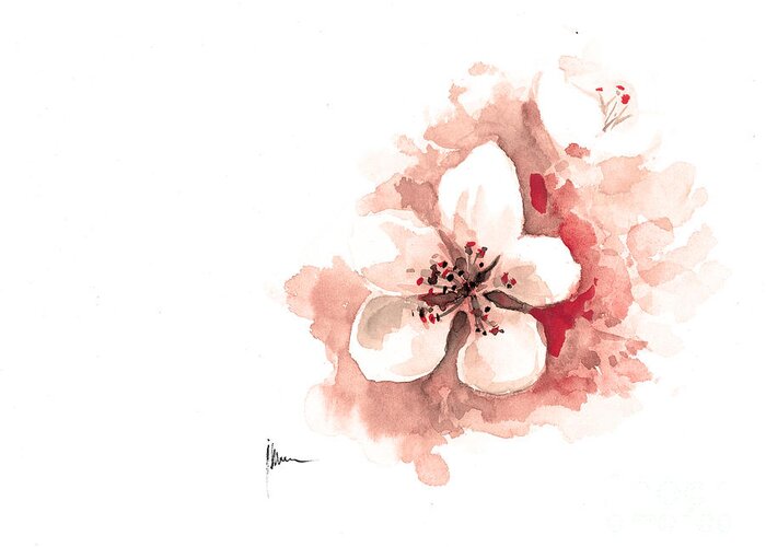 Cherry Blossom watercolor print or greeting card